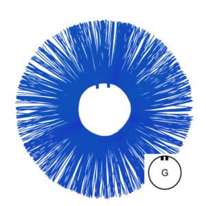 Brush Ring Beeline® 178x600 PP 2.0 BL